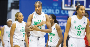 Nigeria Basketball Ban: D'Tigress out of world cup