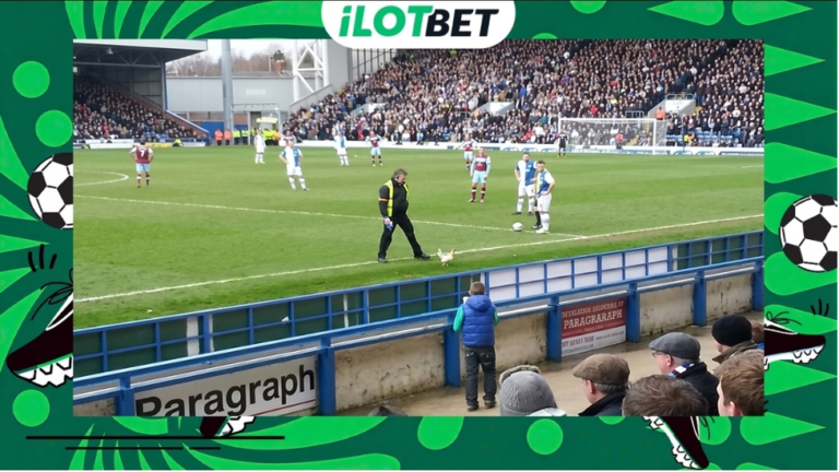 When Sport Stops for the Strangest Reasons ilotbet