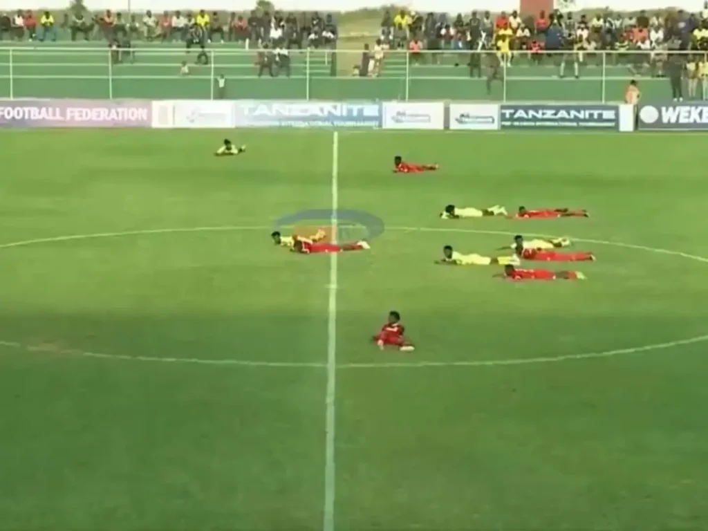 When Sport Stops as Bees invade pitch in Tanzania